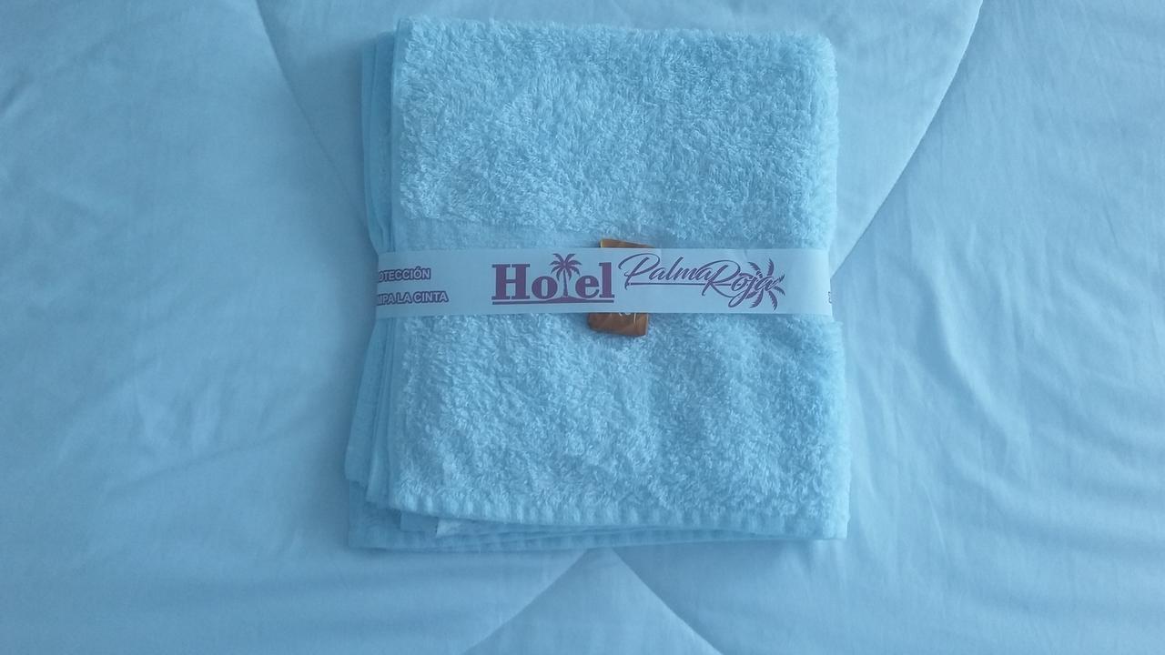 Hotel Palma Roja Granada  Eksteriør billede